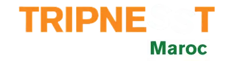 TRIPNESST_LOGO e1749835754693